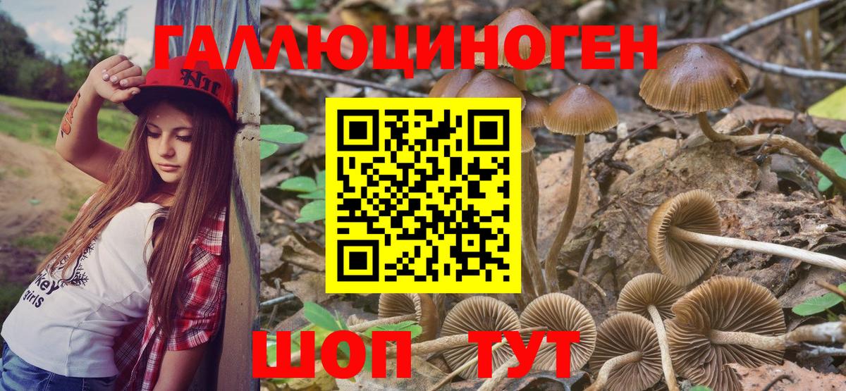 Псилоцибиновые грибы Psilocybine cubensis  Вход с VPN  купить закладку  Кинель 